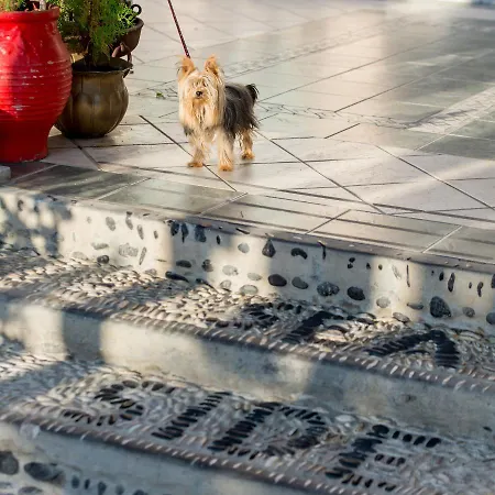 Seaside By Manos 3* Kamari (Santorini)