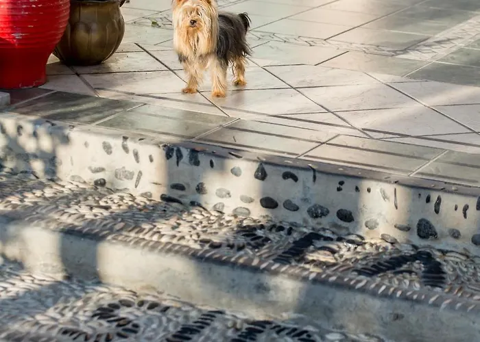 Seaside By Manos 3* Καμάρι